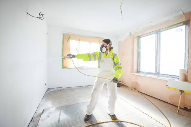 Best Asbestos and Lead Testing During Mold Inspection  in Parma Heights, OH