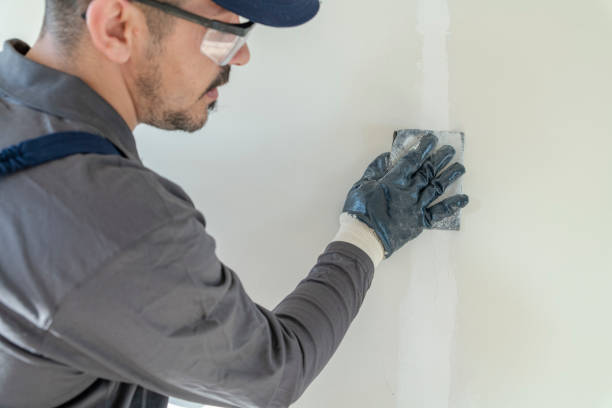 Best Attic Mold Removal  in Parma Heights, OH