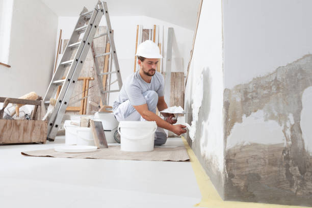 Best Emergency Mold Remediation  in Parma Heights, OH